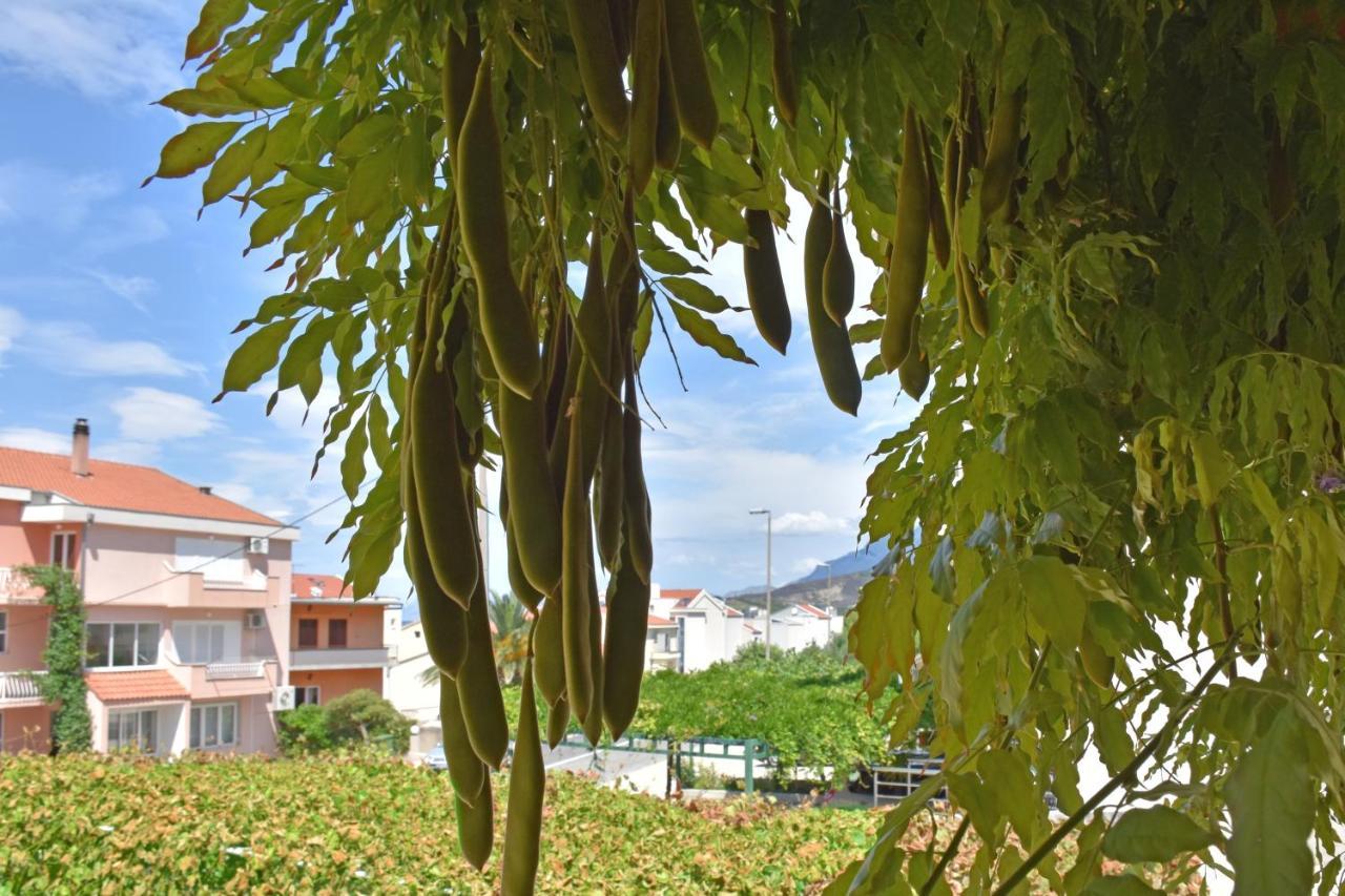 Apartments Stone Tučepi Екстериор снимка